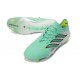 adidas Korki Pilkarskie Predator Elite L FG Zielony Srebro