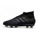 Buty piłkarskie adidas Predator 19.1 FG - Czarny