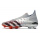 adidas Predator Freak.1 FG Srebro Czarny Niebieski